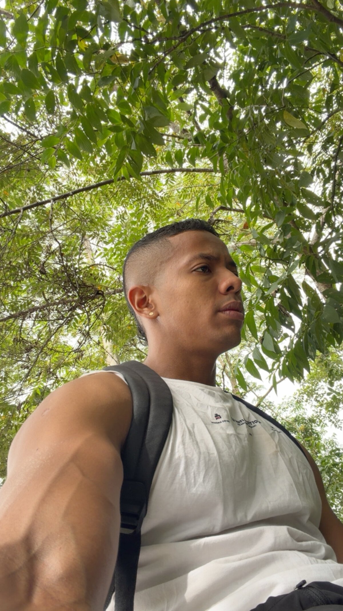 Muscle_Brown10 Image populaire  556