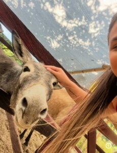 Sofia_Lopezz1 Animals ❤️ Pic 2