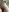 onlysage444 ✨Hairy pussy✨ Pic 5