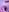 valerii__fox_69 exclusive Pic 4