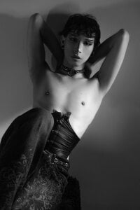 AndyWiilliams Public Foto 3