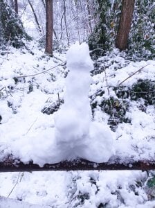 pegaso369 Snow dick Pic