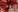 mandi4pole_ Happy xmass Pic 8