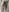 Freya_Artemisa My Body For You 🥵 Pic 3