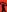 Fuc71 Red Rubber Pic 2