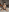 -kissbaby VERY HOT HALLOWEEN Pic