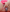 _Bella_Candy_ Brincadeira de leve Photo 2