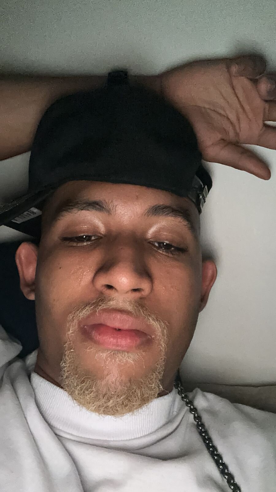 B_Wild Populära bilder 2886