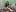 lara_duncansexy christmas照片