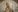 Coconut_Mia Gently Naked Body Pic