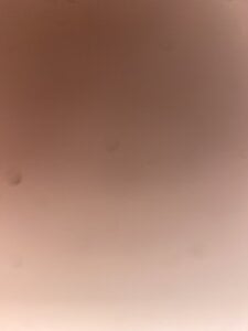 karkerkor Public зображення