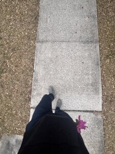 shurthingx Public Hình 5