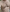 scottgaygiro_naked Hairy German Man Foto 4