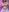 AdelineGoddess naked kitty 사진 6