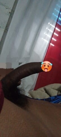 radx0 Poză populară 7607