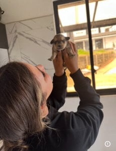 Sofia_Lopezz1 Animals ❤️ Pic 5