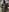 Xtera_DelisTease照片 2