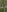 IconaDidiFit Tease in Nature照片 3