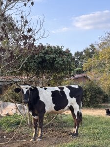 Maii_chanlandscapes that my eyes admire图片 9