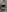 jerretthillxxx Photos of May 2025 Pic 4