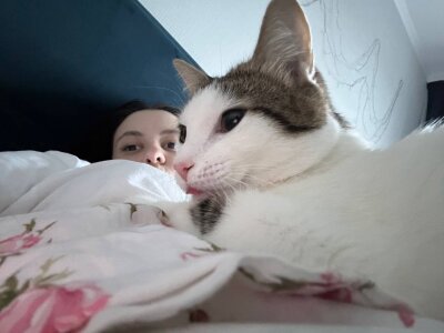 AdeleBabyGirlMy cute cat图片 2