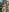navywildxxx Free bundle 1 brown lingerie Pic 4