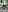 ananattaniaRailroad Tracks照片 6