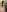 Kaiisa_ My real body Photo 6