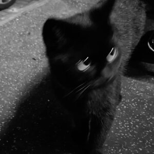 LuluSpark Sunshine Pic 5