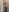 Porn_cornn Naked in public toilet 🚽😂 Pic 9