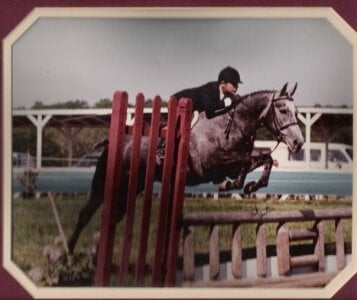 SwordStallionVibes Early equestrian me 🐴💓 Billede