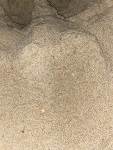 HenriqueH3 Public Hình 3