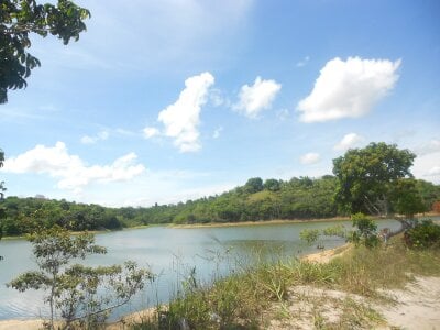 Mao211165 Natureza Foto 5