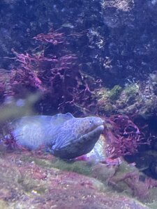 arisu-chan Public Pic 4