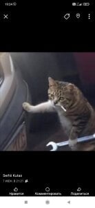 SerxXNatsss Public Poză 8