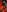 strawberry_muffinWitch! NO MASK PHOTOS照片 6