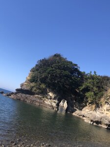 Hikarunn22 釣りバカ Pic