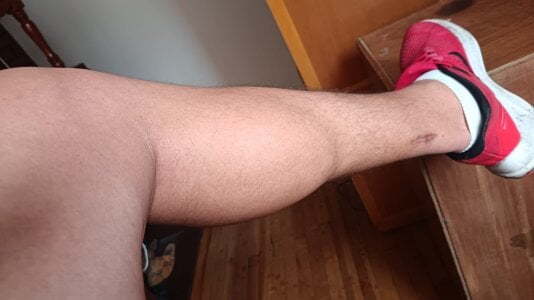 Public de OsoBearColombia  2 Imagens