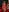 saray_halam CHRISTMAS 2024 🎄🎄 FACE Photo 7