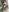 HotCaramellsTV some nudes Emy Pic 5