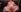 EvelivelyNAKED RIDE DILDO照片