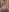 Maya_Viola I'm taking a bath Pic 3