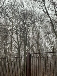 liana_kisses A typical day in my life 🤪 зображення 4