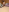 zasmin3 I'm undressing for you🤭 Pic 7