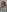 __IRIS__ My tits Pic 5