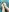 HUGE FEET PACK de Alice_Attiva Fotos 3
