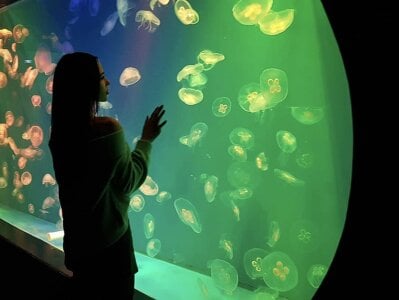 WendyCrose Public Foto 8