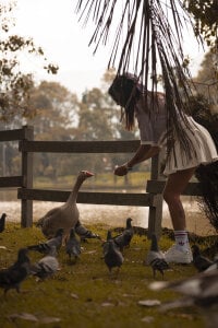 lily_beet OUT♥ صورة واحدة|lily_beet OUT♥ صورتان|lily_beet OUT♥  6 صور|lily_beet OUT♥  6 صورة