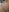 Layla_UKNaughty pics照片 3
