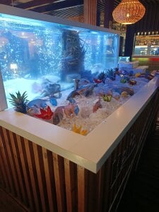 Bela de baipal74  3 Imagens